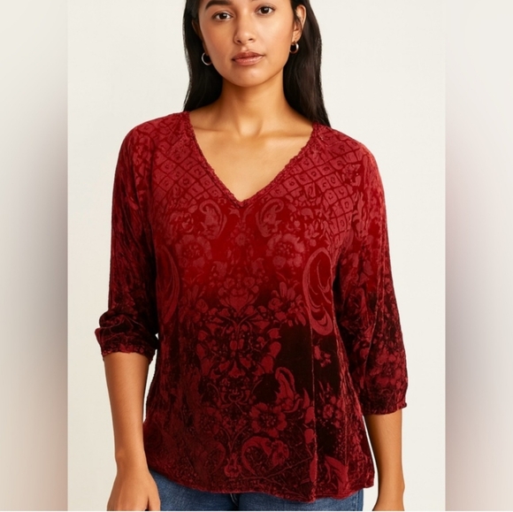 Sundance Boho Silk Sheer Red Flocked Velvet Burnout Ombre V Neck Longsleeve XL - Picture 3 of 6